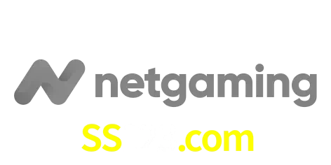 NetGaming